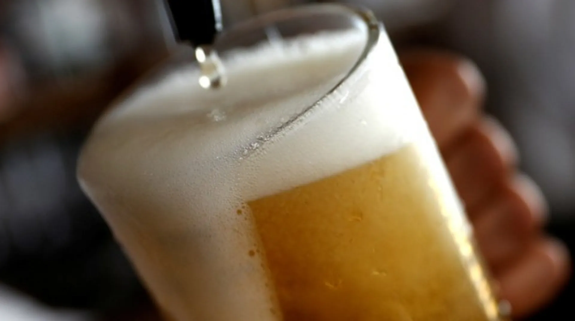 Beer for sunflower oil: German bar comes up with unique solution for fuel crisis